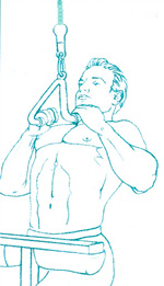 ejercicio especifico para el entrenamiento prueba fisica dominadas